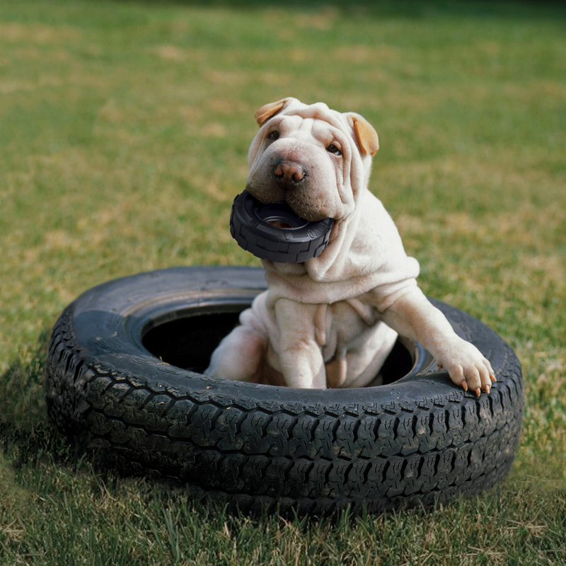 Dog Toy - Extreme Tires