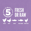 Dry Cat Food - Kitten