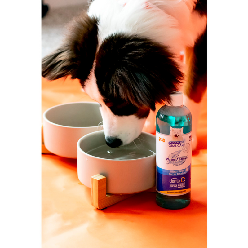 Soins oraux avancés - Demousture de tartre liquide pour chien