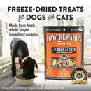 Freeze Dried Treat for Dogs & Cats - RAW REWARDS - Salmon - 2.5 oz