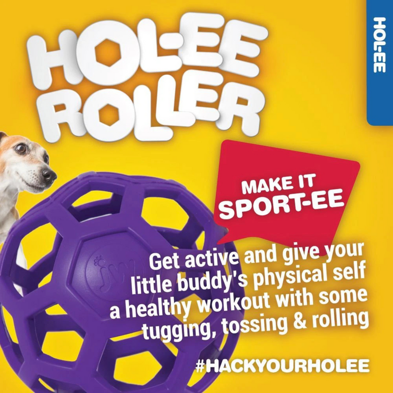 Hol-ee Roller Puzzle Dog Toy