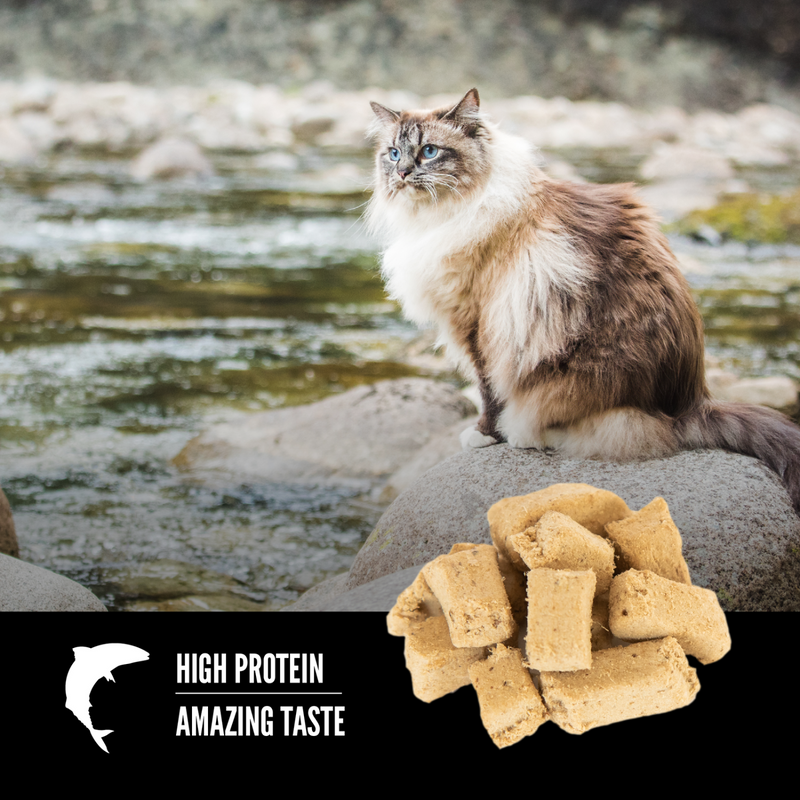 Freeze Dried Cat Treat - Six Fish - 35 g