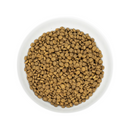 Dry Cat Food - Raw Coated - Chicken
