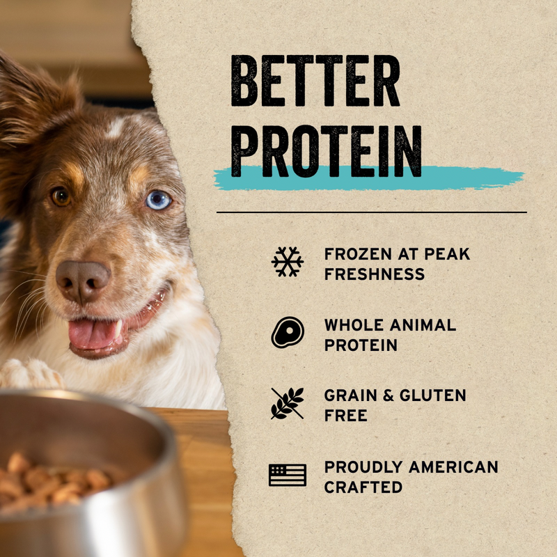 Freeze Dried Dog Treat - Beef Tripe Bites - 2.3 oz