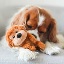 Puppy Plushie Toy - Baby Monkey