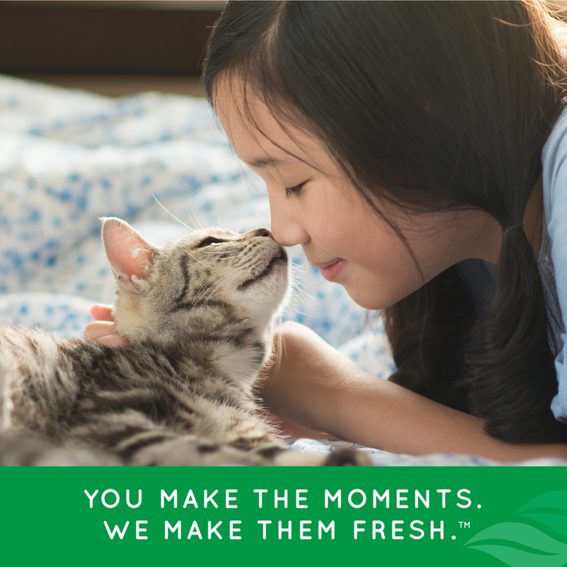 Cat Dental Health - FRESH BREATH - Oral Care Kit