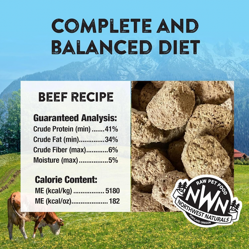 Freeze Dried Dog Food - Nuggets - Beef Recipe