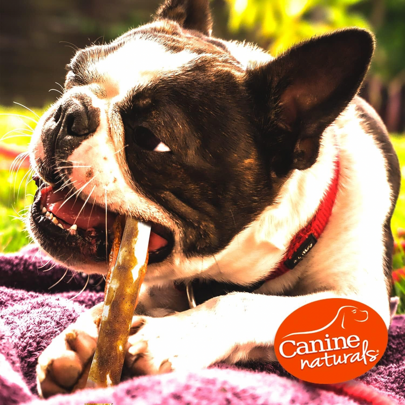 Natural Dog Chews - 5" Hide Free Peanut Butter Flavor Sticks - For All Dogs