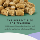 Natural Dog Treat - Semi Moist Chicken Mini Trainers