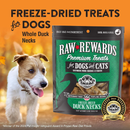 Consulté de chien et de chat lyoph