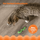 Cat Dental Toy - Orkakat Catnip Wiggle Worm - J & J Pet Club - Petstages