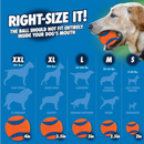 狗狗玩具 - 经典发球器 - 26M