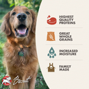 Canned Dog Food - GOLD - Venison & Beef Pâté - 12.2 oz