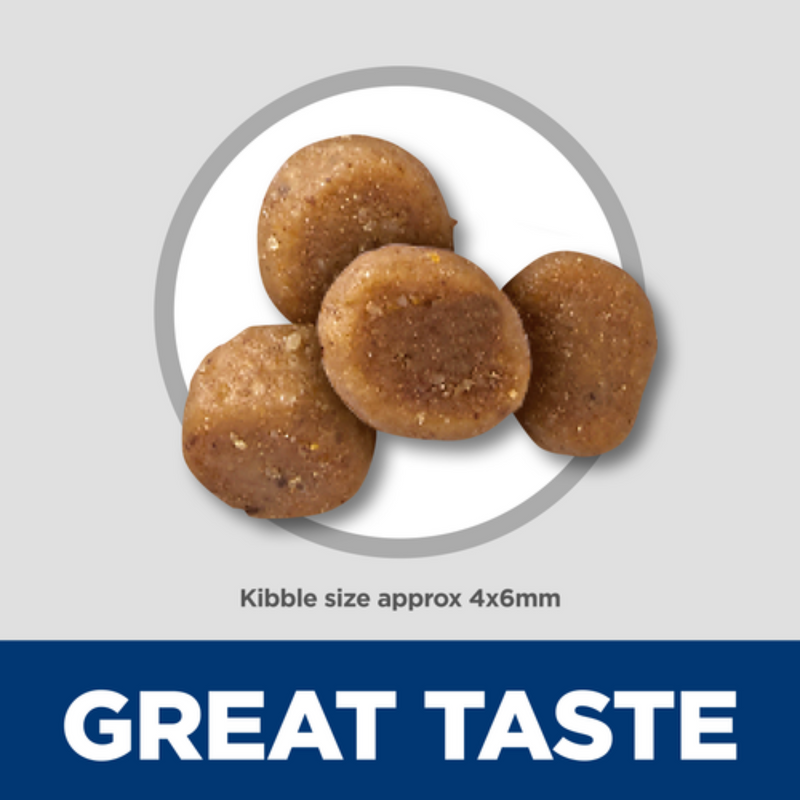 Dry Cat Food - SPECIALTY - Sensitive Stomach & Skin - Kitten - Salmon & Brown Rice Recipe