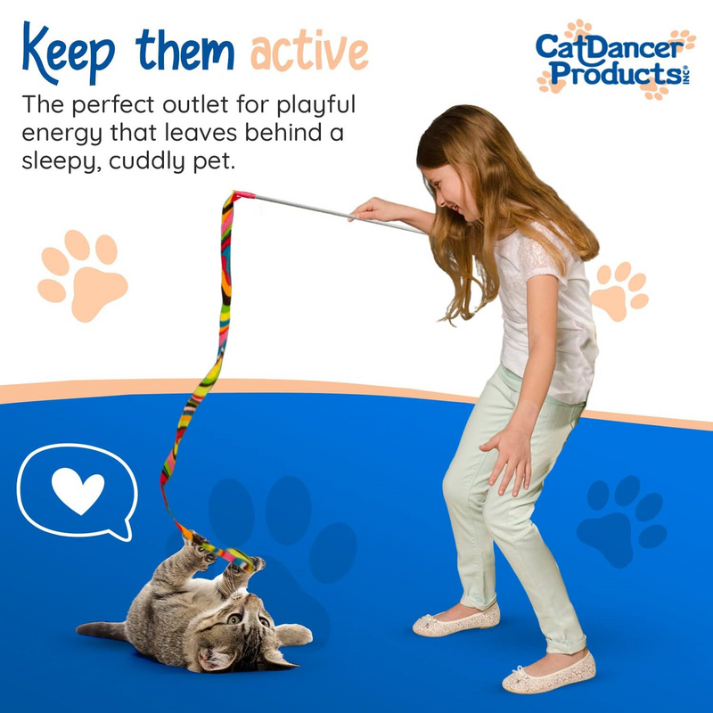 Interactive Cat Toy - Cat Charmer