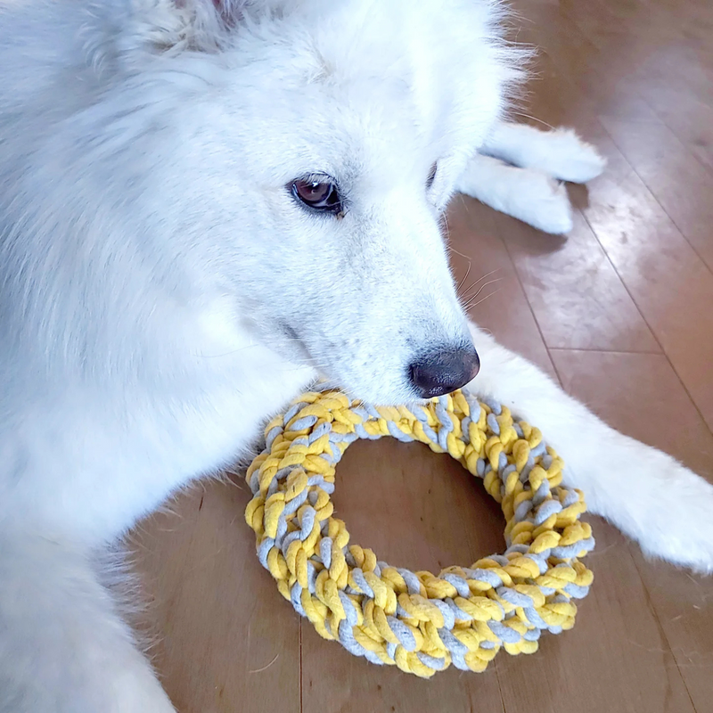 Dog Toy - Rope Ring