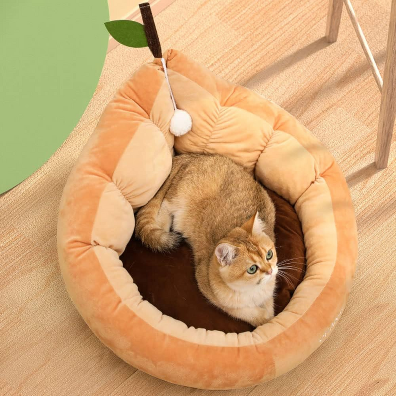 Fantasy Velvet All Seasons Pet Bed - Avocado