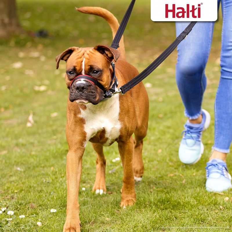 Halti Dog Training Anti-Pull Optifit Headcollar