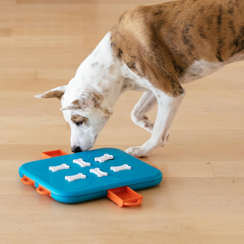 Nina Ottosson Interactive Puzzle Dog Toy - Casino - Level 3