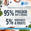 成猫主食冻干 - RAW MEALS 系列 - 野生阿拉斯加狭鳕配方