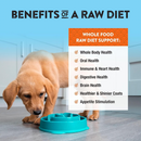 Nourriture pour chiens séchées - Régime cru - Poulet et pépites de saumon - 12 oz