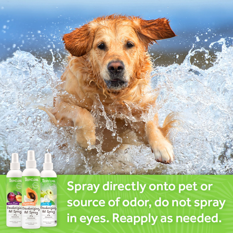 Dog & Cat Deodorizing Spray - Baby Powder - 8 fl oz