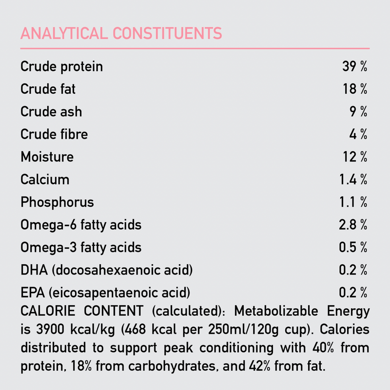 Dry Dog Food - Small Breed