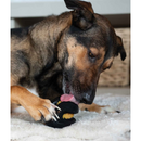 Dog Toy - CHEW CHASERS - Tough Natural Rubber Rugby Treat Ball