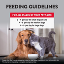 Freeze Dried Treat for Dogs & Cats - RAW REWARDS - Beef Liver