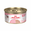 Canned Cat Food - Kitten - Loaf in Sauce