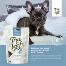 Calming Support for Dogs - Hemp Seed Soft Chews