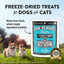 Freeze Dried Treat for Dogs & Cats - RAW REWARDS - Minnows - 1 oz
