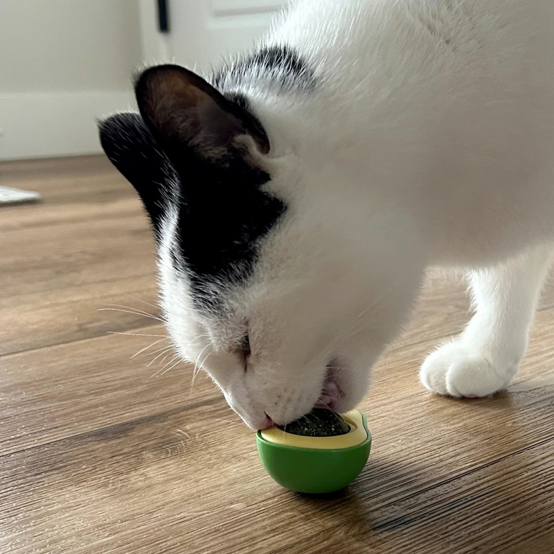 Catnip Avocado Cat Toy