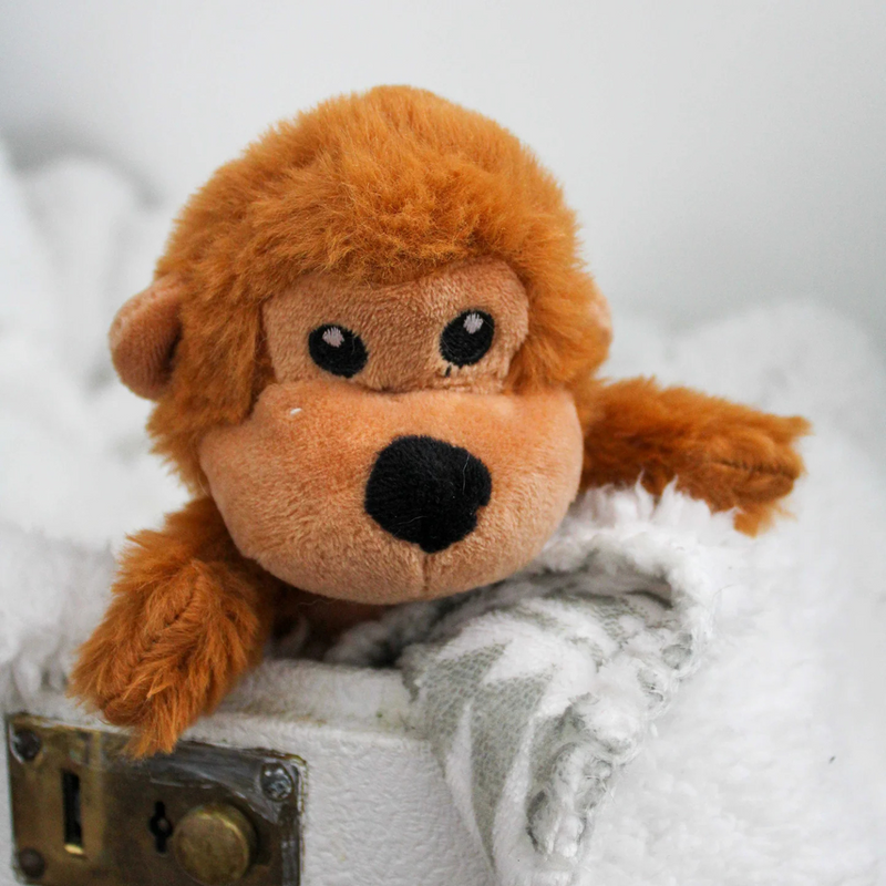 Puppy Plushie Toy - Baby Monkey