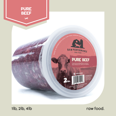 Frozen Raw Food - Pure Beef