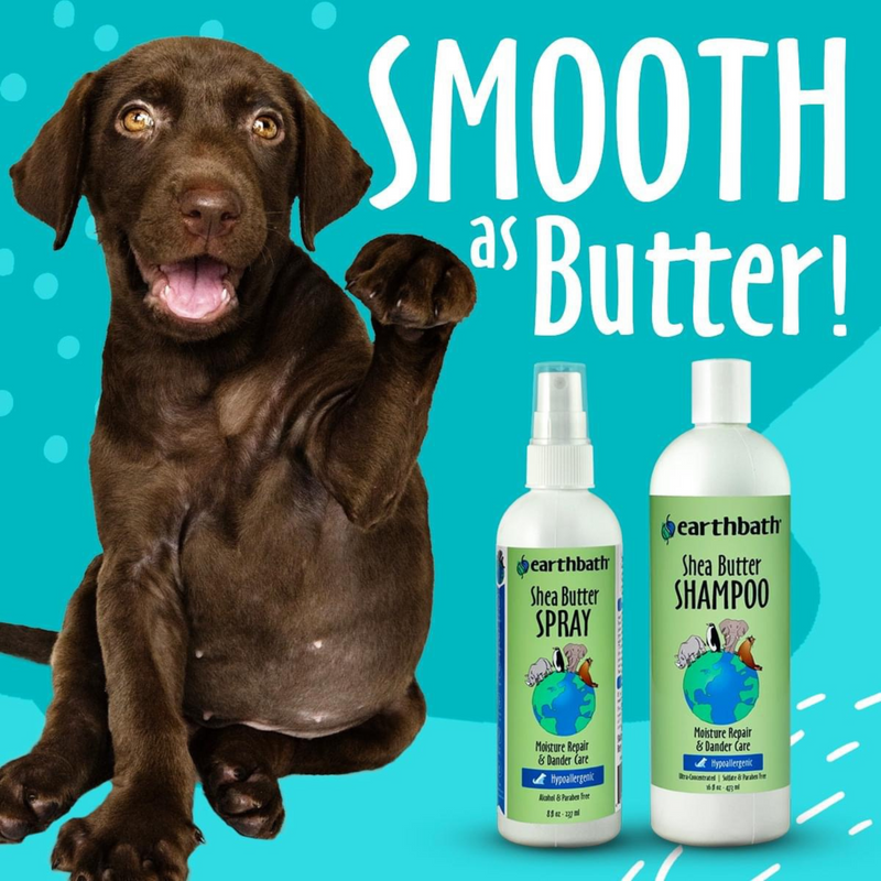 Dog & Cat Shampoo - Shea Butter Spray (Avocado & Calendula) - 16 fl oz