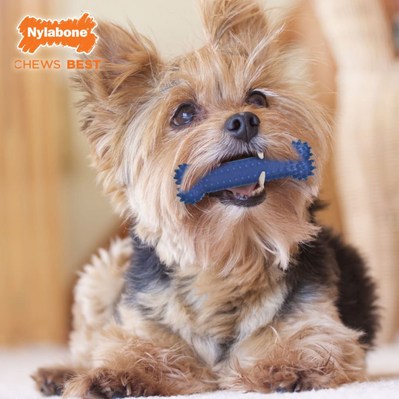 Textured Dog Dental Chew Toy - MODERATE FLEXI CHEW (Chicken Flavor)