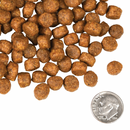 Dry Dog Food - FOUR STAR - Grain Free - Beef Frittata Veg Recipe