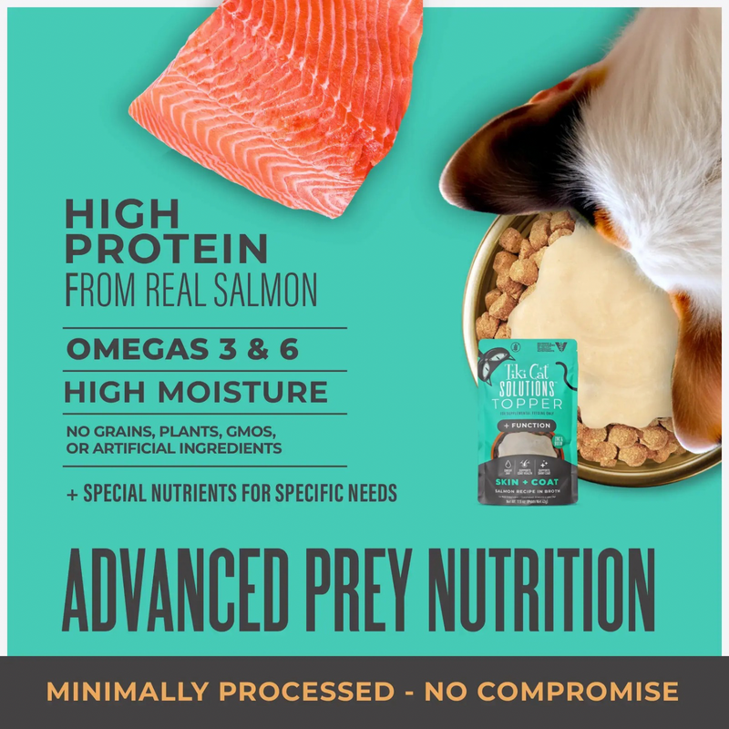 Wet Cat Food Topper - SOLUTIONS - Skin + Coat - Salmon Recipe in Broth