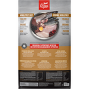 Dry Dog Food - Puppy