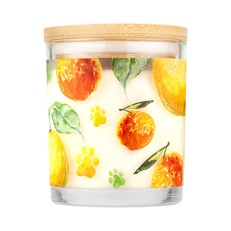 100% Plant-Based Wax Candle, Fresh Citrus - 9 oz