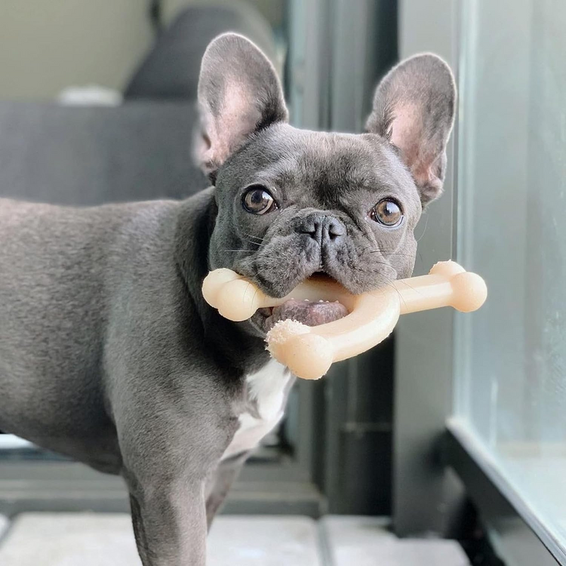 Jouet à mâcher de chien - Power Chew - Wishbone (saveur originale)