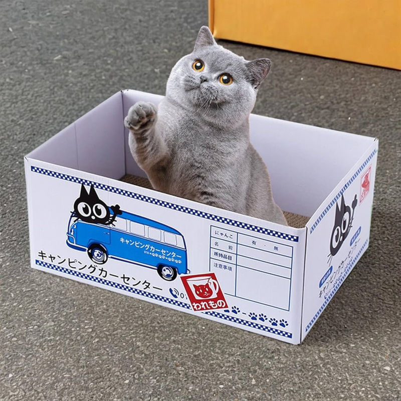 Cat Scratching Box