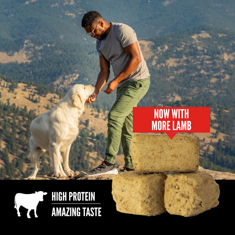 Freeze Dried Dog Treat - Lamb Recipe - 92 g