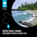 Nourriture sèche pour chats - sous-zéro - Pacifique canadien