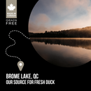 Alimentation sèche pour chiens - sous-zéro - Lacs du Nord