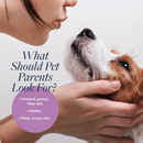 Antiparasitic & Antiseborrheic Medicated Shampoo For Dogs - 16 fl oz