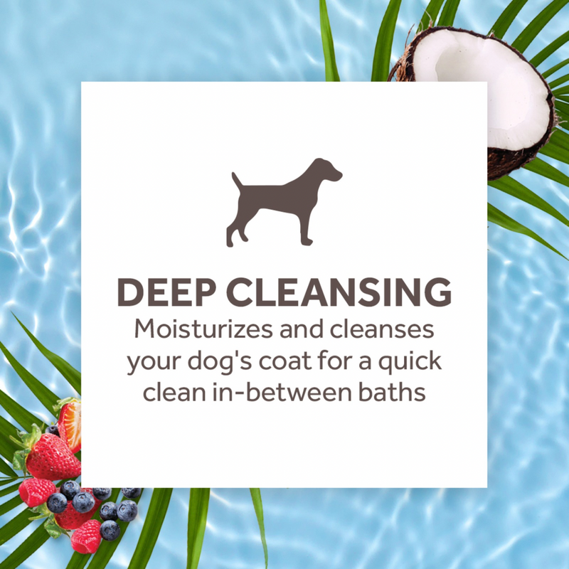 Waterless Dog Shampoo - Berry & Coconut Deep Cleansing - 7.4 fl oz