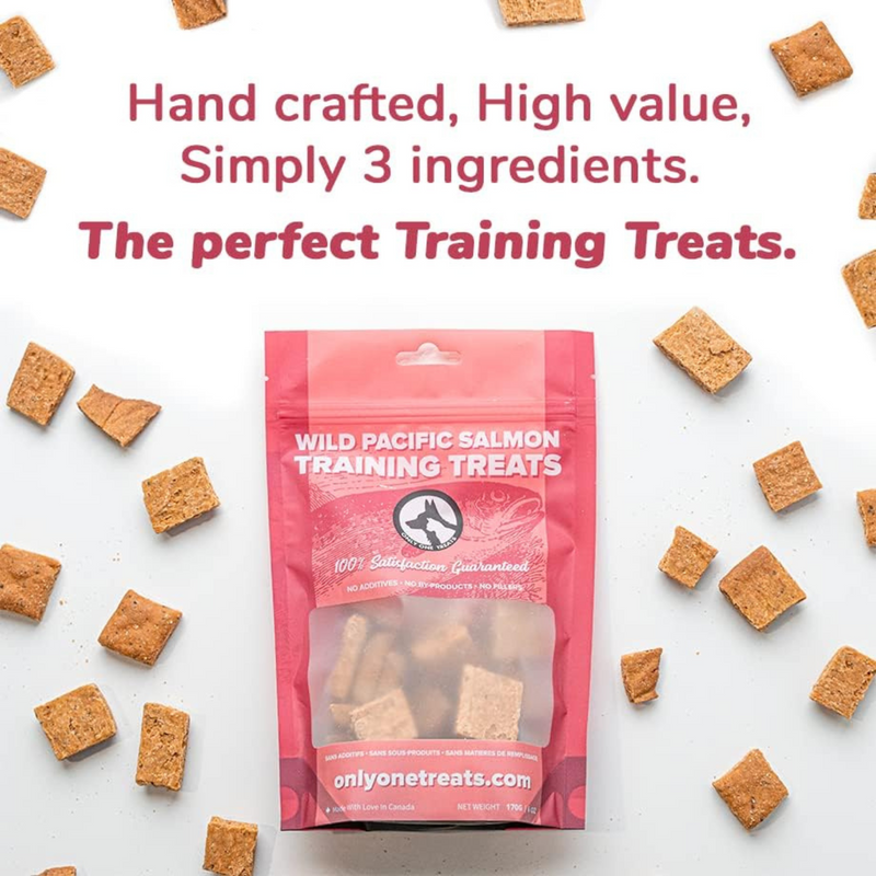 Wild Pacific Salmon Training Treats - 170 g