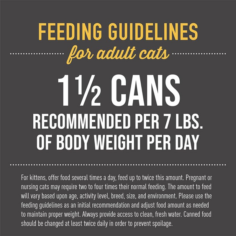 猫罐头 - 黑夜传说 - 鸡肉肉汤配方